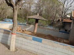 -石家庄市动物园