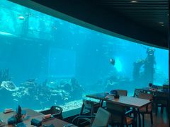 大堂-海棠湾洲际-涛·海底餐厅·美人鱼·自助餐·海底隧道