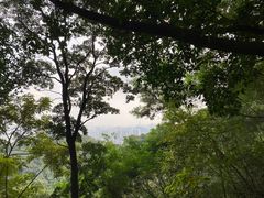 -广州市白云山风景名胜区