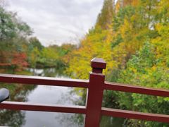 -东平国家森林公园