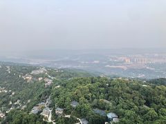 -大金鹰园