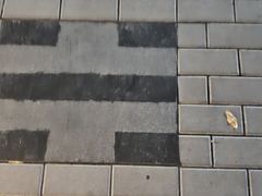 -特克斯八卦城