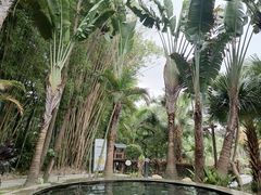 -罗浮山嘉宝田森林温泉度假酒店