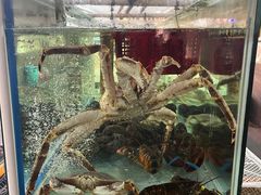 -寻味顺德·南记酒家·传统顺德菜·鱼生(广源路店)