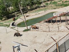 -青藏高原野生动物园