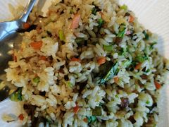 -菩提树·素食餐厅(汇智国际商业中心店)