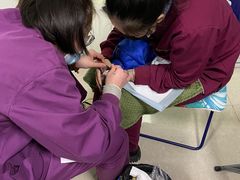 -瑞派福兴宠物医院犬猫全科·骨科·中西医结合(河东店)