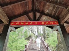 -陕西省红河谷森林公园