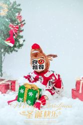 -小熊维尼高端儿童摄影(宝安旗舰店)