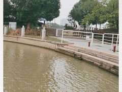 -长兴太湖图影湿地文化园