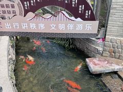 -前童古镇