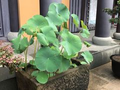 -宁国禅寺·停车场