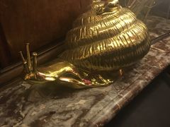 -金蜗牛