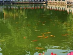 -广州市白云山风景名胜区