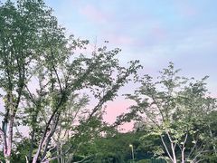 -羊山湖公园