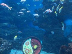 -海合安成都极地海洋公园