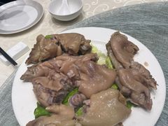 -丁老爷子苏香圆
