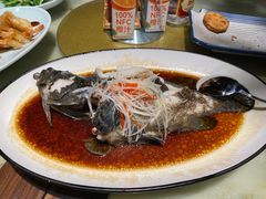 -情满四合院•京菜•烤鸭(动物园店)