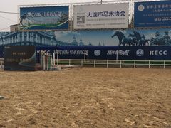 -大连凯洋马术俱乐部有限公司