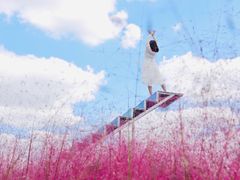 -嘉北郊野公园