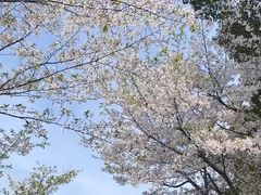 -阳澄湖半岛旅游度假区