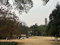 -江心屿景区