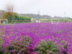 -嘉北郊野公园
