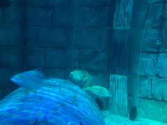 -沈阳海洋探索中心