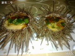 海胆蒸蛋-海岛渔村大酒店(云霄路店)