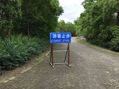 -上海海湾国家森林公园