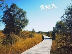 -野鸭湖国家湿地公园