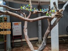 -正佳雨林生态植物园