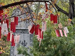 -西安大兴善寺