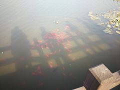 -前关湿地公园