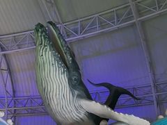 -烟台海昌鲸鲨海洋公园