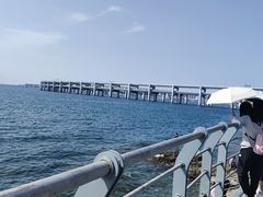 -星海湾跨海大桥