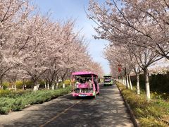 -古柏渡飞黄旅游区