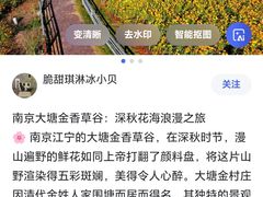 -大塘金香草谷