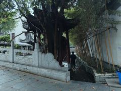-龙潭水乡