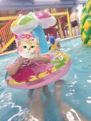 点击看大图 -宝燕乐园(闵行旗舰店)