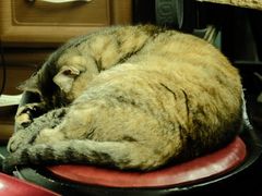 -协和菜馆(凤凰街店)