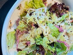 -喜悦烤鸭·新京菜(王府井店)