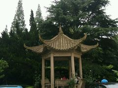 -复旦大学附属华山医院(总院)