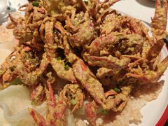-海岛八号龙虾烧烤田鸡(蓝天路总店)