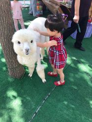 -萌宠亲子动物乐园(槐房万达店)