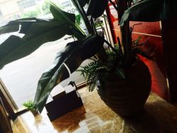 iphone_upload_pic-侨治发型