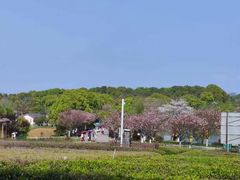 -凤凰沟景区