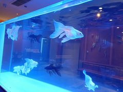 -黄鱼炙夜(华家池店)
