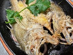 潮煎黄花鱼-潮界(虹桥新天地店)