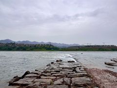 -金海湾滨江公园